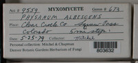 Image Associated With the Occurence